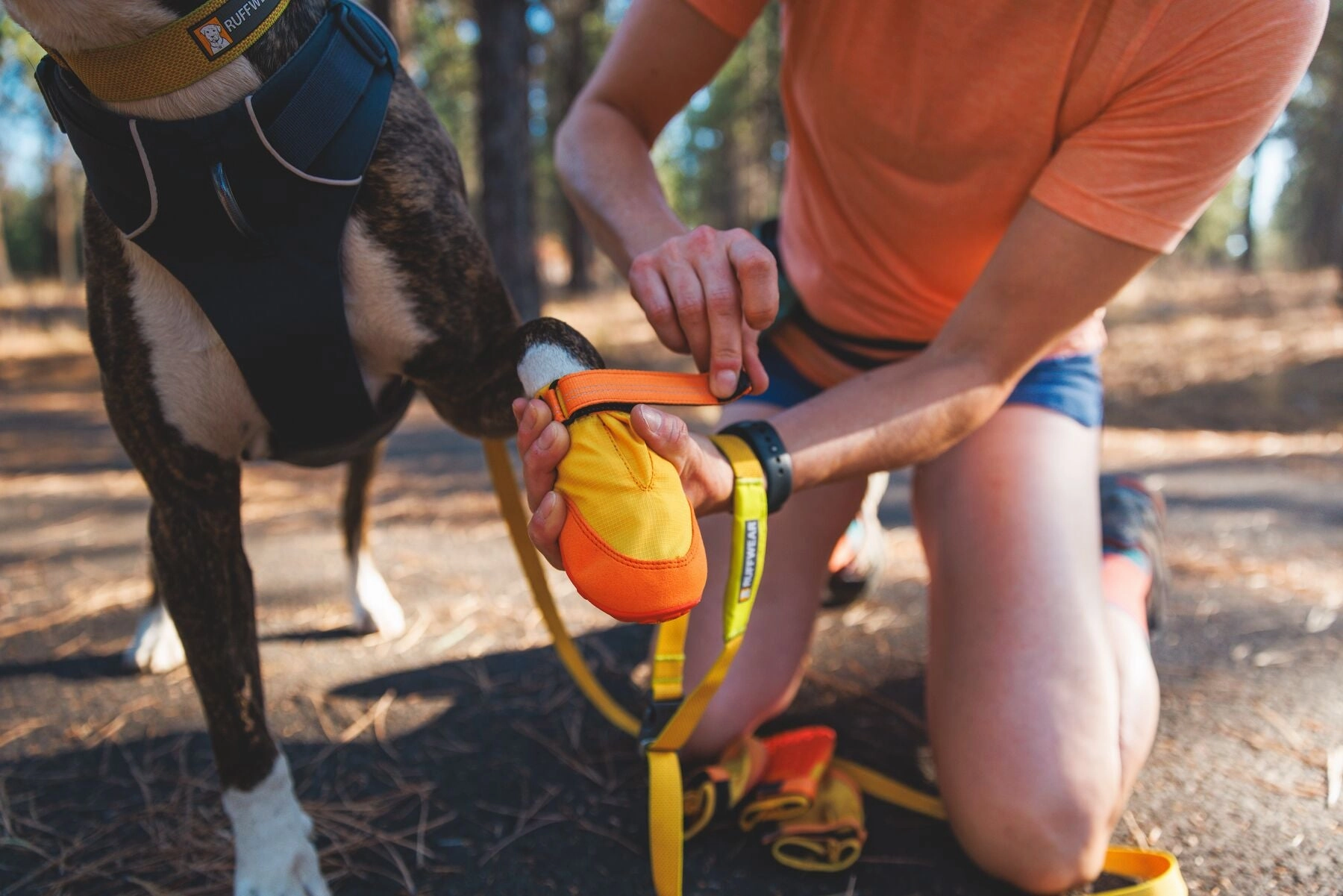 Ruffwear Summit Trex All-Season Paw Protection Dog Boots (Sunrise Yellow)
