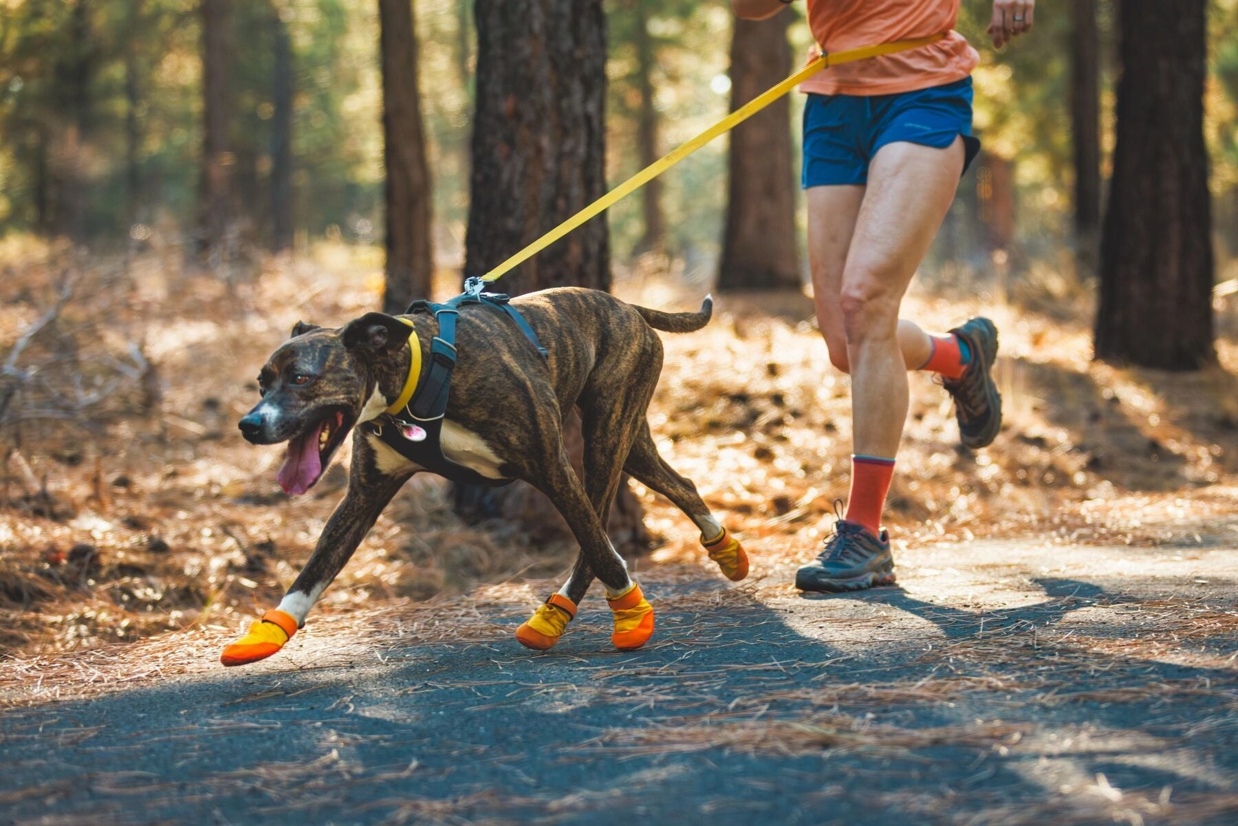 Ruffwear Summit Trex All-Season Paw Protection Dog Boots (Sunrise Yellow)