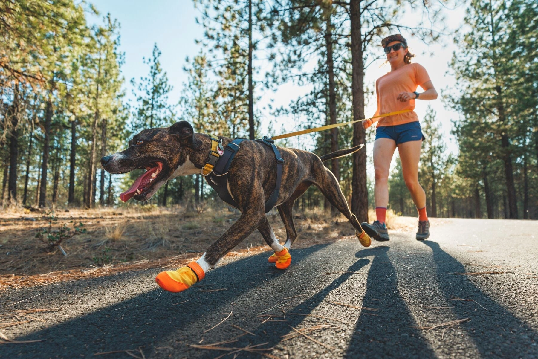 Ruffwear Summit Trex All-Season Paw Protection Dog Boots (Sunrise Yellow)