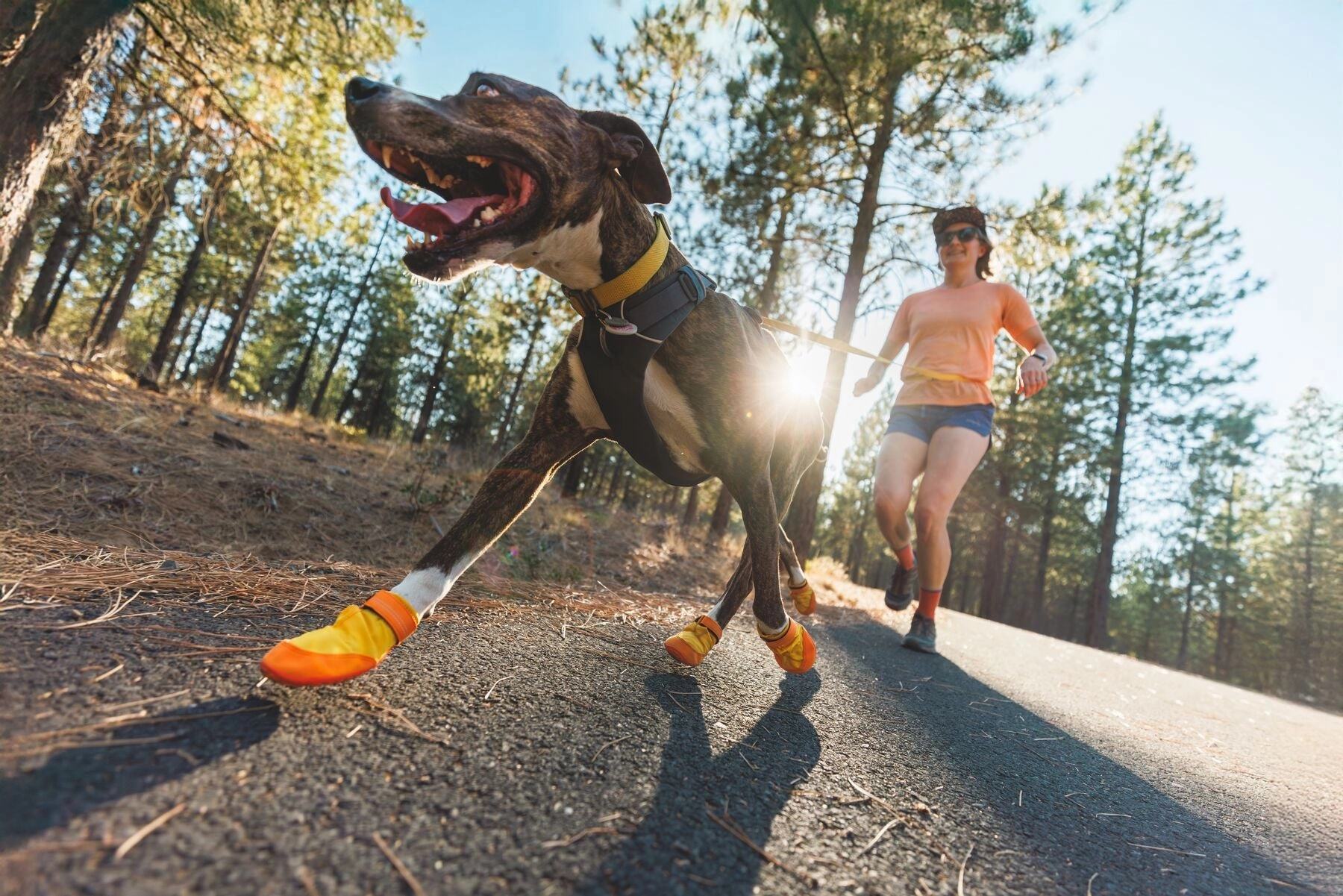Ruffwear Summit Trex All-Season Paw Protection Dog Boots (Sunrise Yellow)