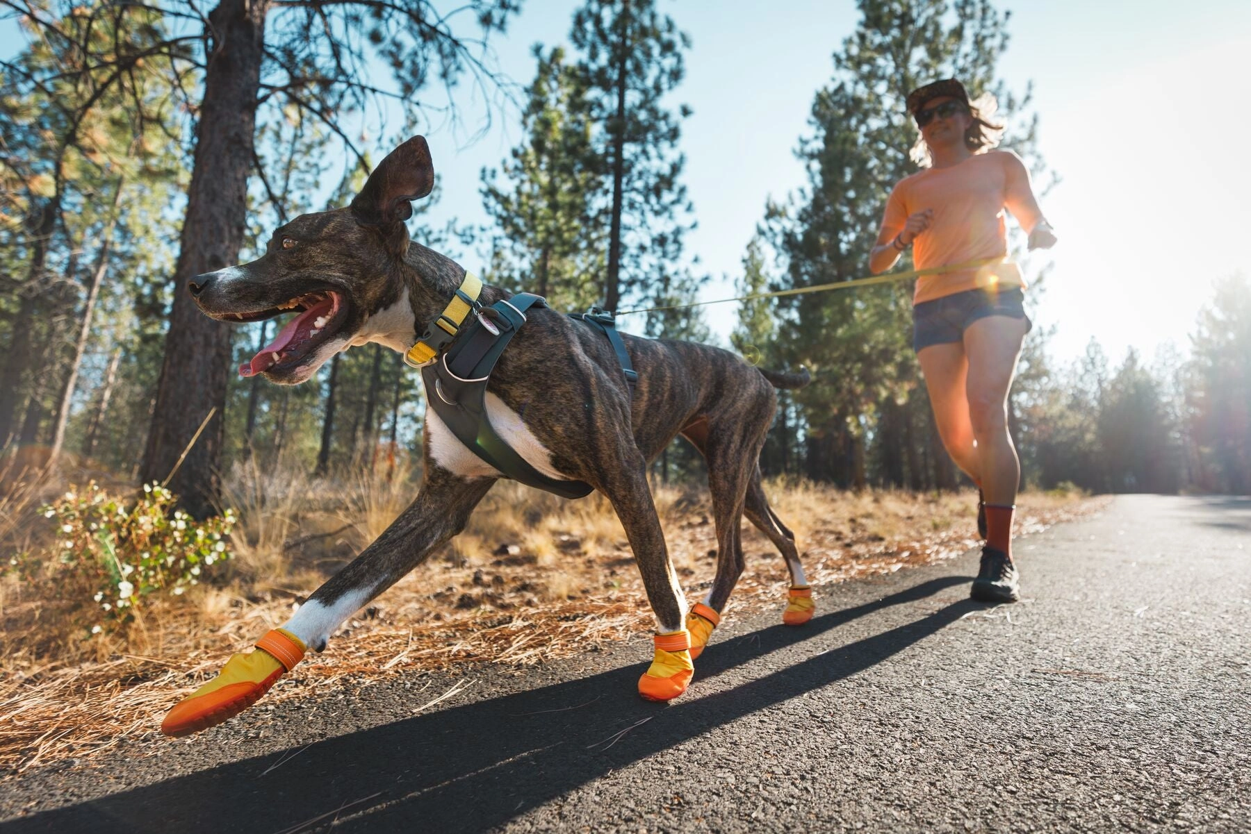 Ruffwear Summit Trex All-Season Paw Protection Dog Boots (Sunrise Yellow)