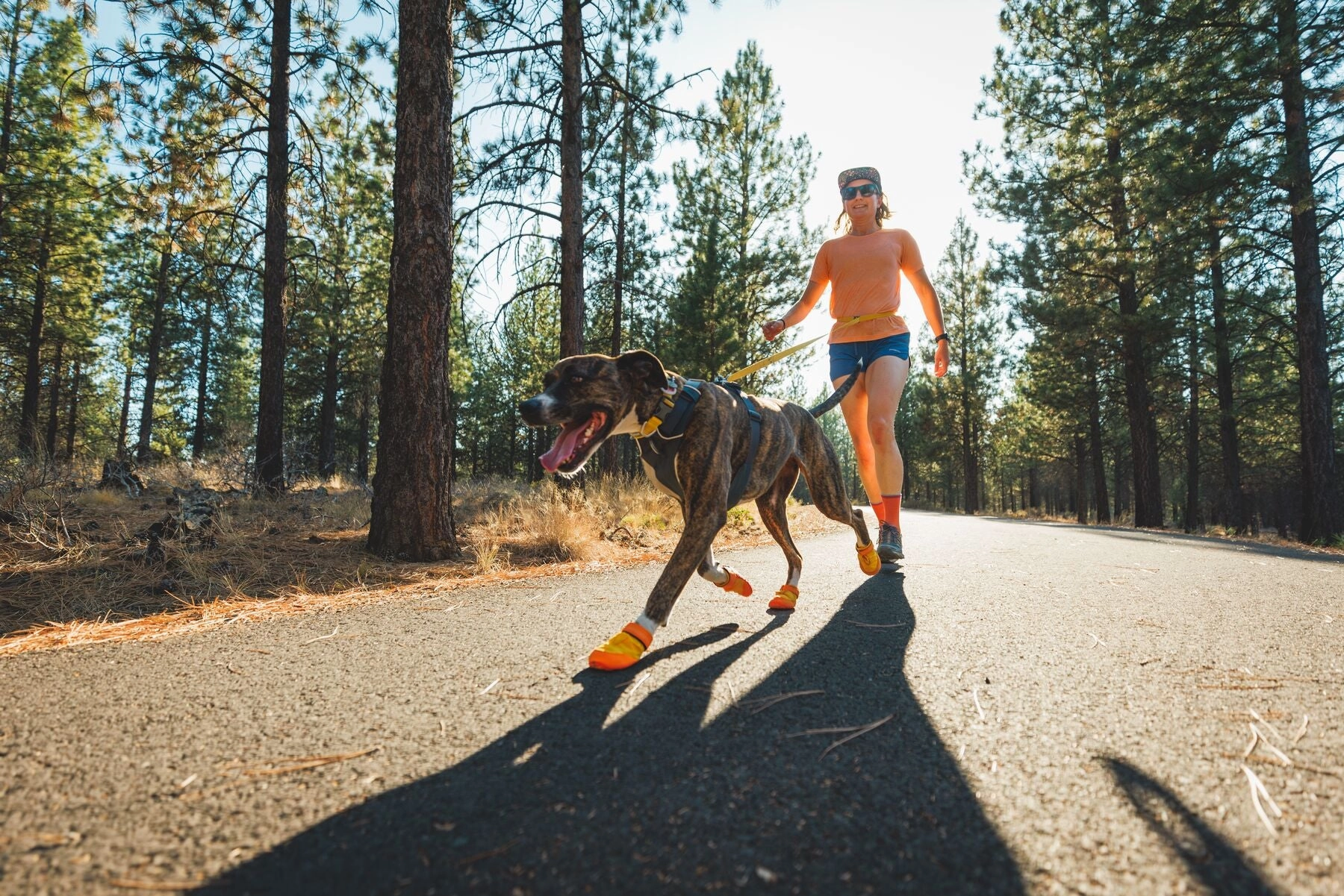 Ruffwear Summit Trex All-Season Paw Protection Dog Boots (Sunrise Yellow)