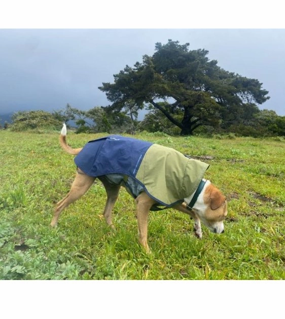 Ruffwear Sun Shower Reflective Lightweight Dog Raincoat (Midnight Blue)