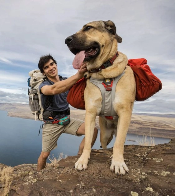 Ruffwear Swamp Cooler Core? Harness & Pack Add-On (Graphite Gray)