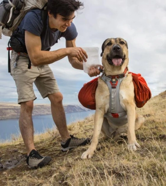 Ruffwear Swamp Cooler Core? Harness & Pack Add-On (Graphite Gray)
