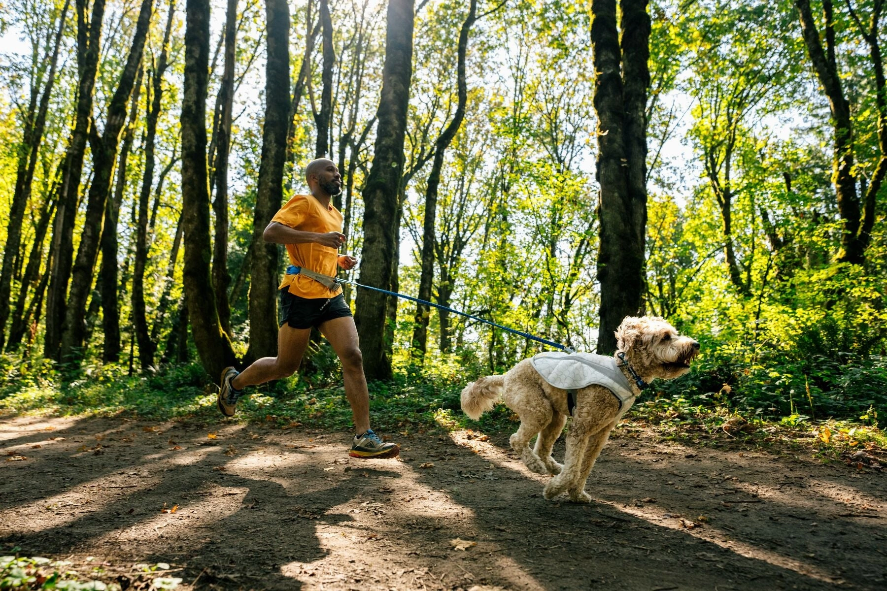 Ruffwear Swamp Cooler? Reflective Cooling Dog Vest (Biolumin Blue)
