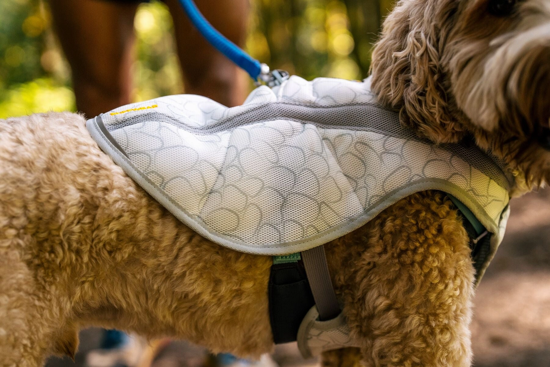Ruffwear Swamp Cooler? Reflective Cooling Dog Vest (Biolumin Blue)