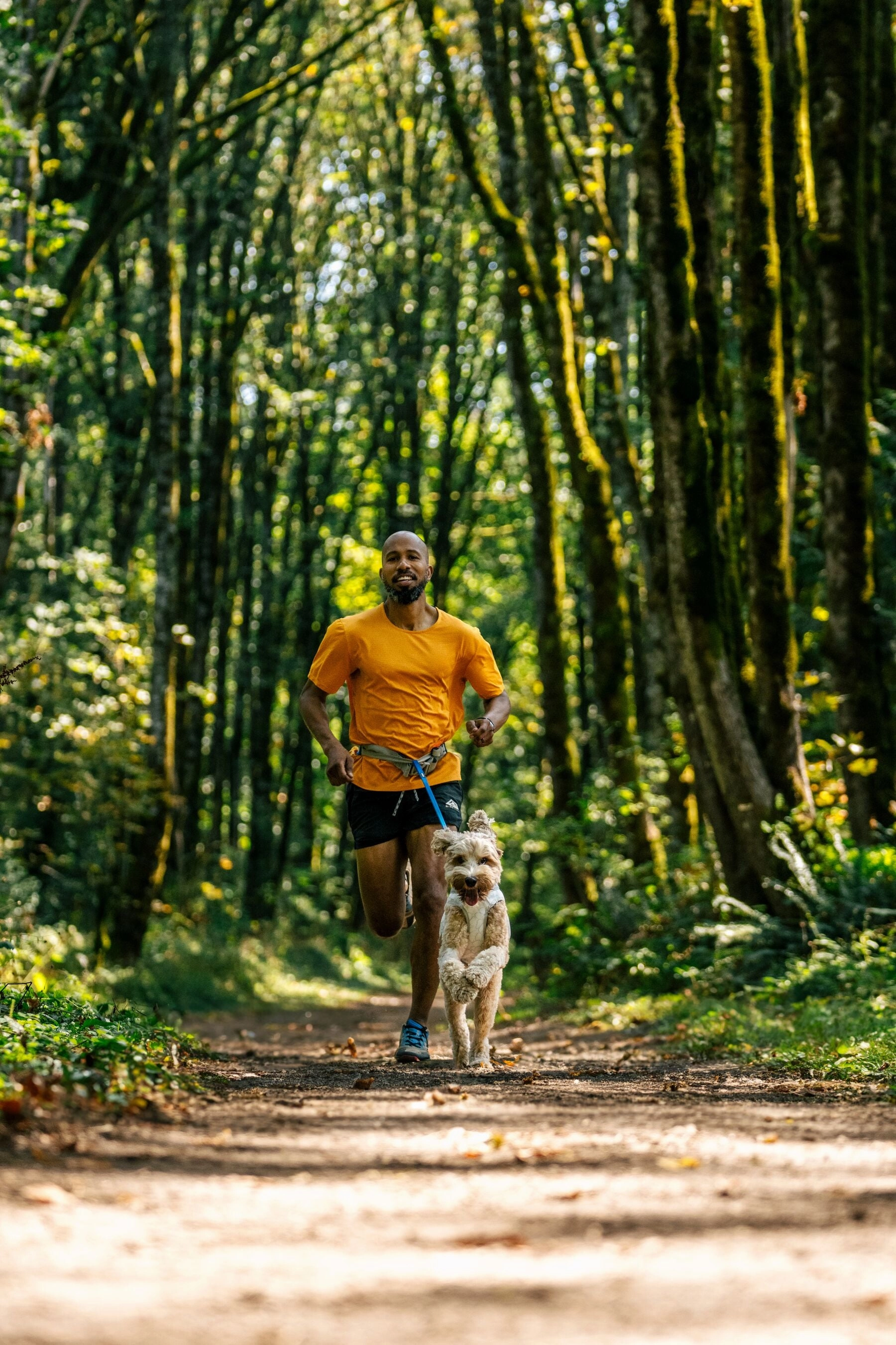 Ruffwear Swamp Cooler? Reflective Cooling Dog Vest (Biolumin Blue)