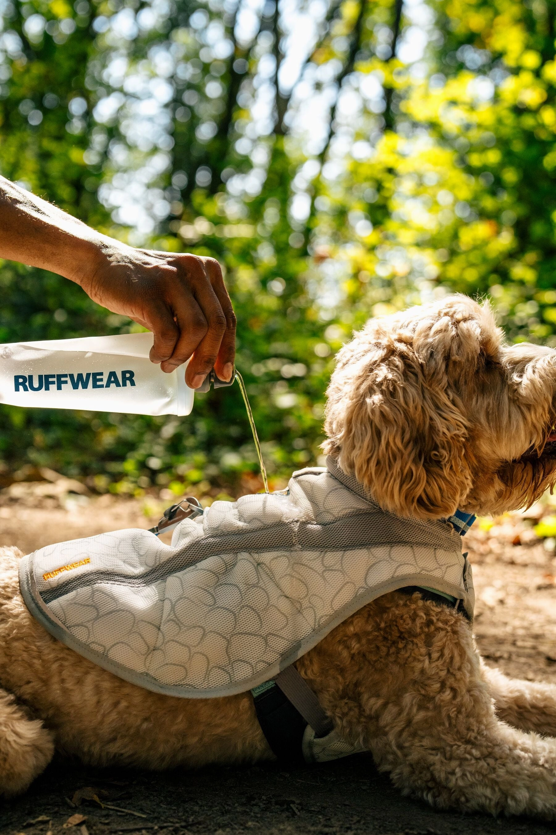 Ruffwear Swamp Cooler? Reflective Cooling Dog Vest (Graphite Gray)