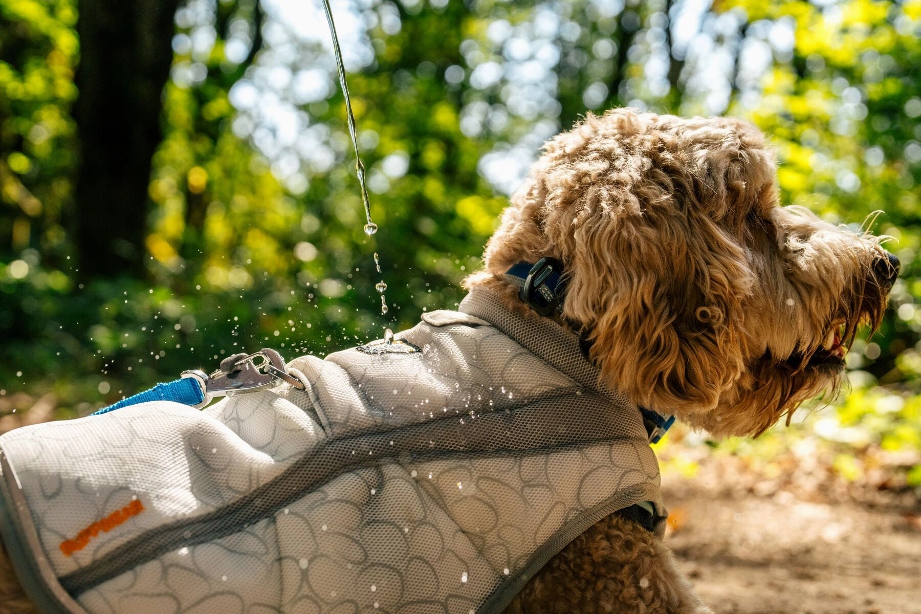 Ruffwear Swamp Cooler Reflective Cooling Dog Vest (Graphite Gray)