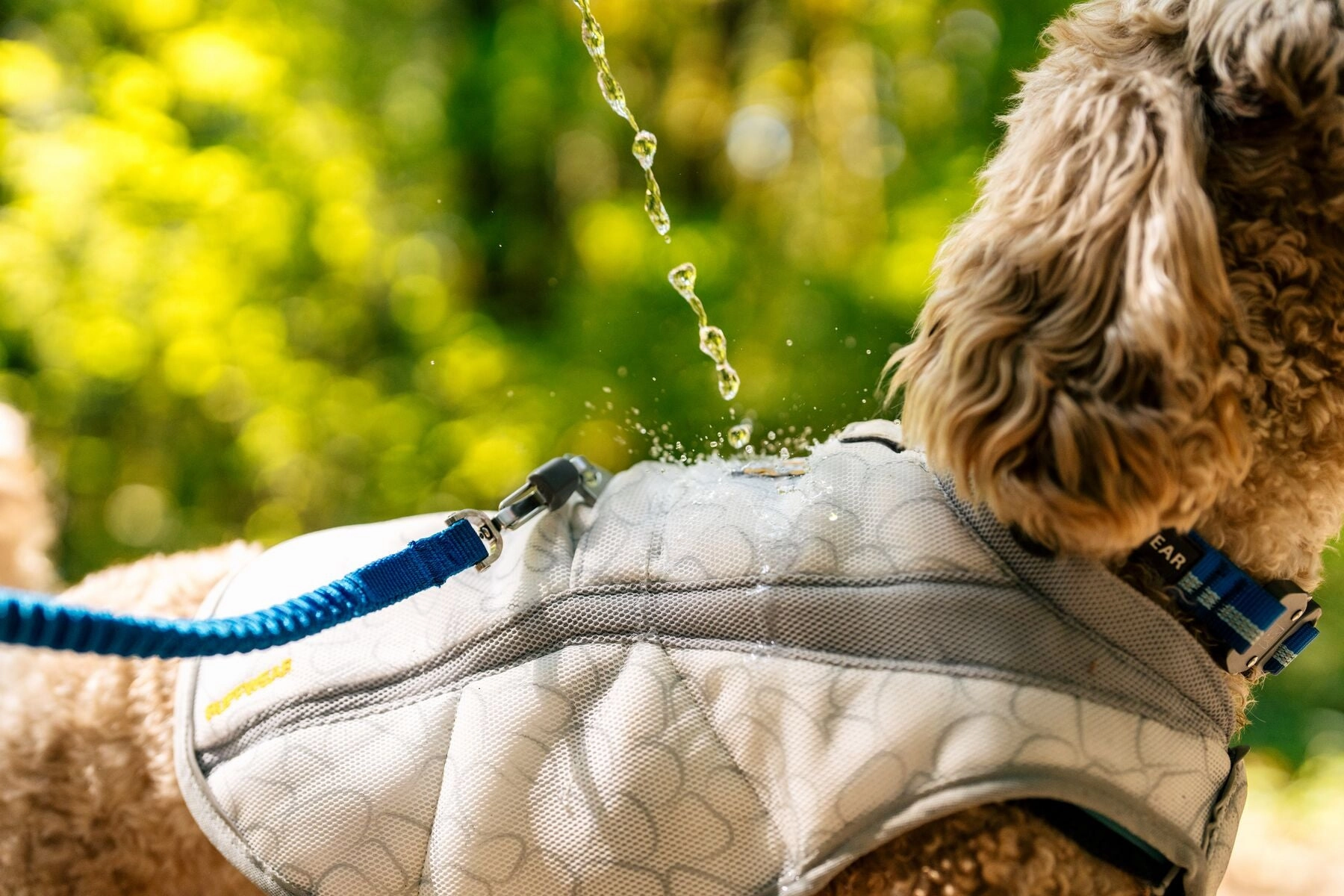 Ruffwear Swamp Cooler Reflective Cooling Dog Vest (Graphite Gray)