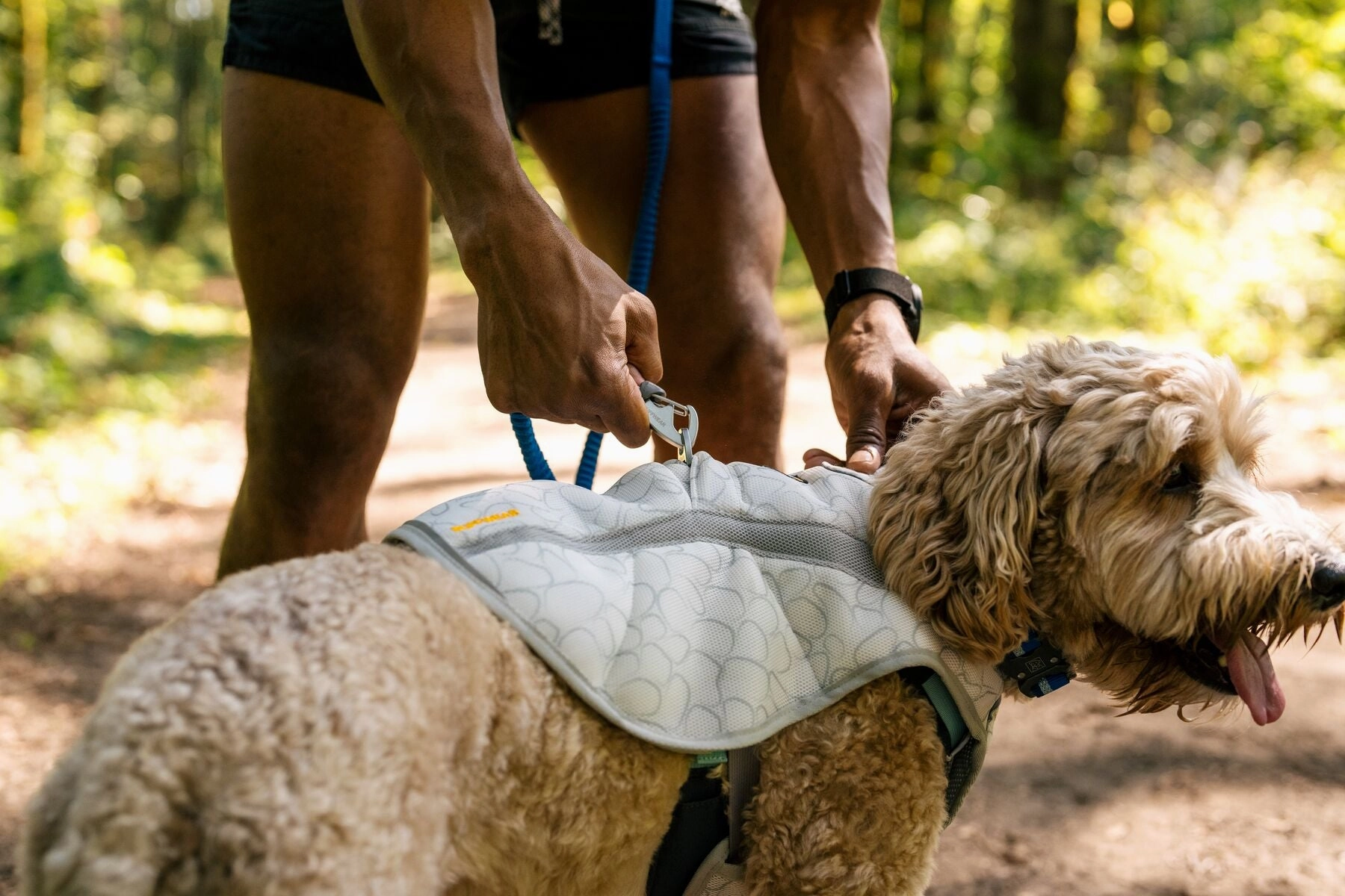 Ruffwear Swamp Cooler Reflective Cooling Dog Vest (Graphite Gray)