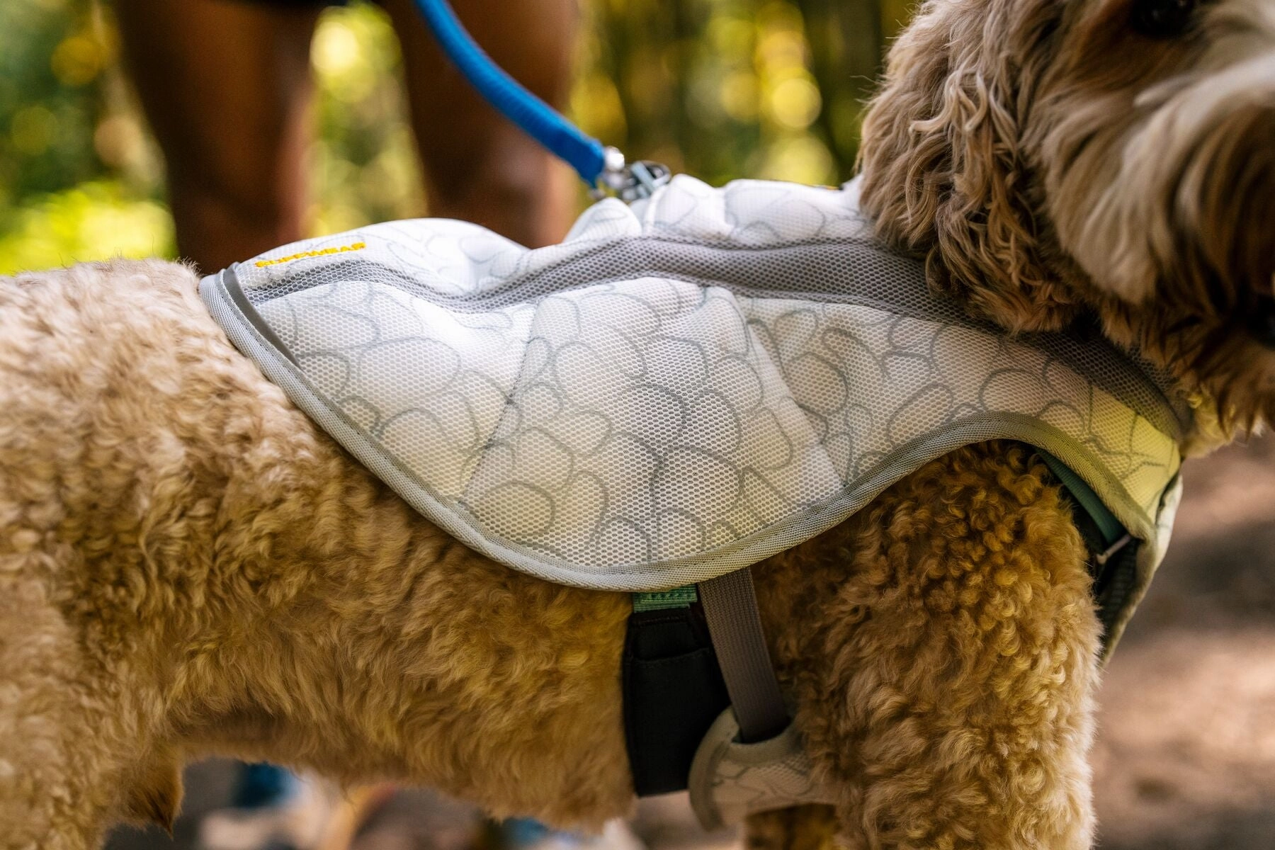 Ruffwear Swamp Cooler Reflective Cooling Dog Vest (Graphite Gray)