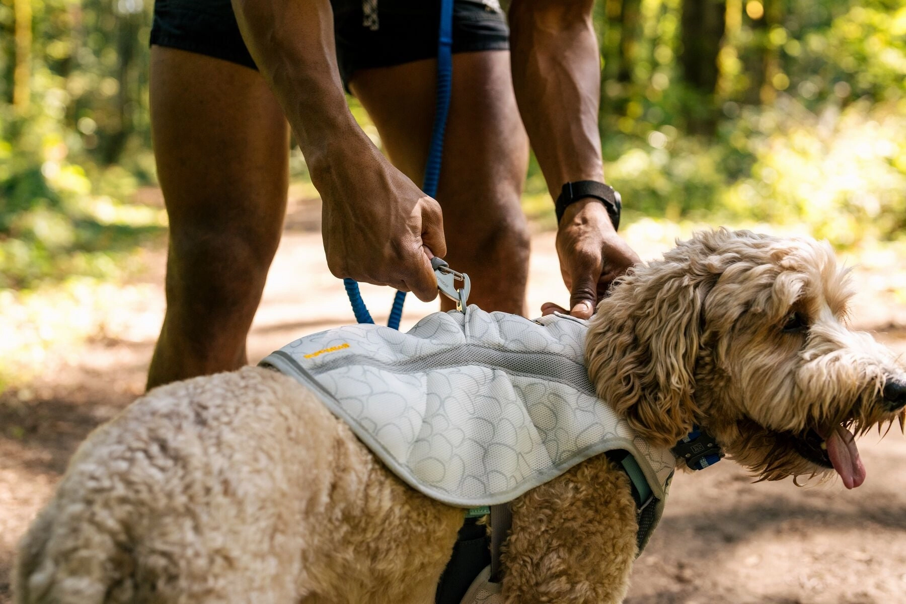 Ruffwear Swamp Cooler? Reflective Cooling Dog Vest (Graphite Gray)