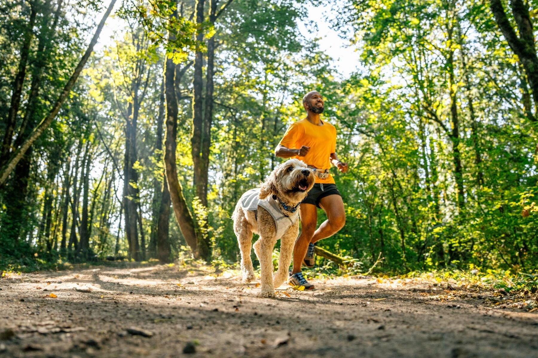 Ruffwear Swamp Cooler Reflective Cooling Dog Vest (Graphite Gray)