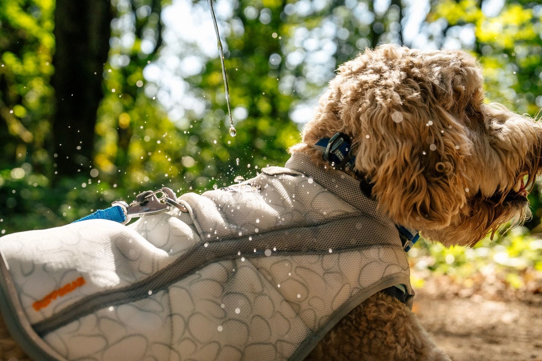 Ruffwear Swamp Cooler Reflective Cooling Dog Vest (Graphite Gray)