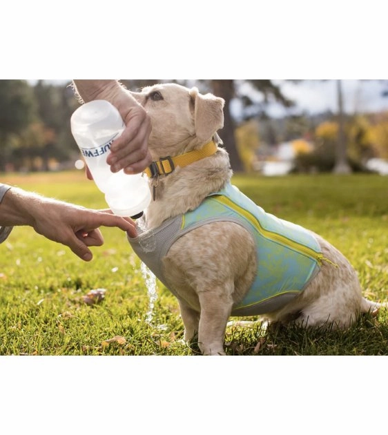 Ruffwear Swamp Cooler Zip? Lightweight Cooling Dog Vest (Aurora Teal)