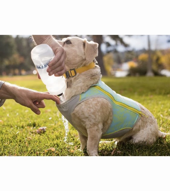 Ruffwear Swamp Cooler Zip Lightweight Cooling Dog Vest (Aurora Teal)