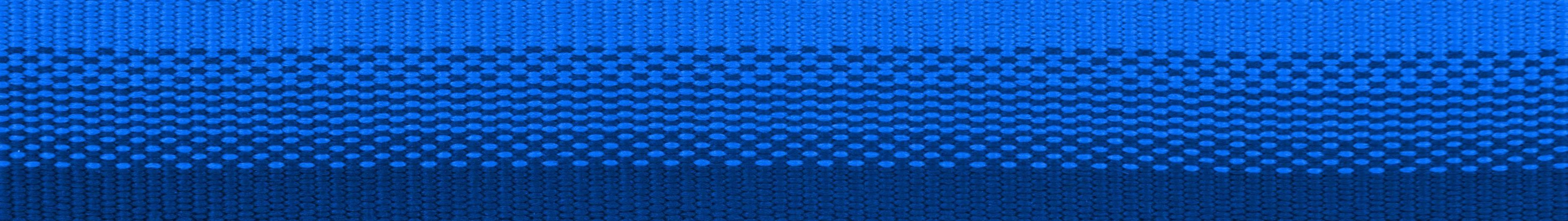 Ruffwear Switchbak? Adjustable Double-Ended Dog Leash (Blue Pool)