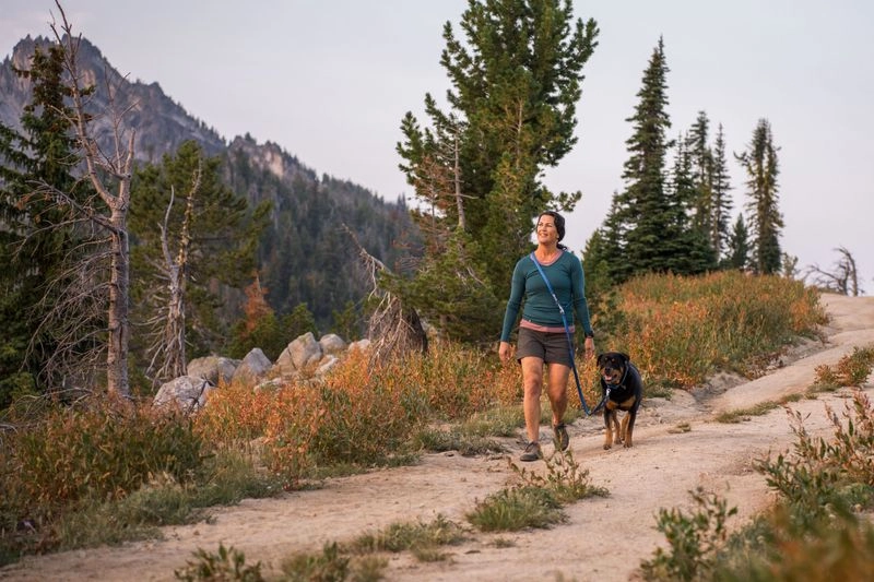 Ruffwear Switchbak? Adjustable Double-Ended Dog Leash (River Rock Green)