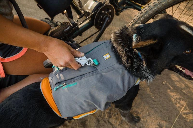 Ruffwear Switchbak? Padded With Pockets Dog Harness (Granite Gray)