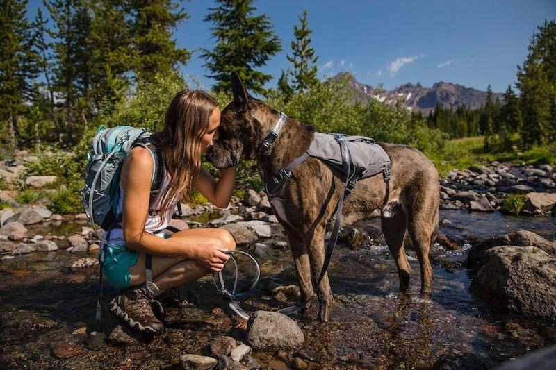 Ruffwear Switchbak? Padded With Pockets Dog Harness (Granite Gray)