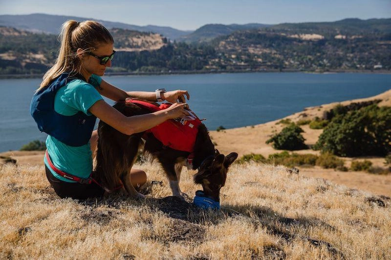 Ruffwear Switchbak? Padded With Pockets Dog Harness (Red Sumac)