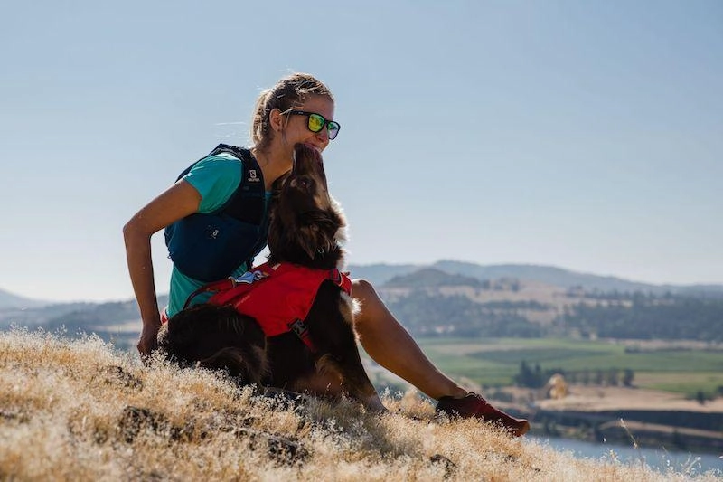 Ruffwear Switchbak? Padded With Pockets Dog Harness (Red Sumac)