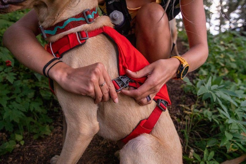 Ruffwear Switchbak? Padded With Pockets Dog Harness (Red Sumac)