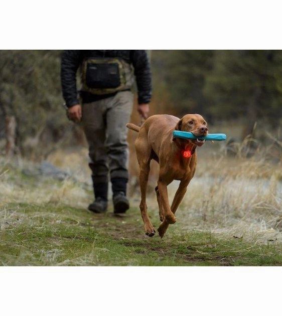 Ruffwear The Beacon? Waterproof LED Safety Collar Light