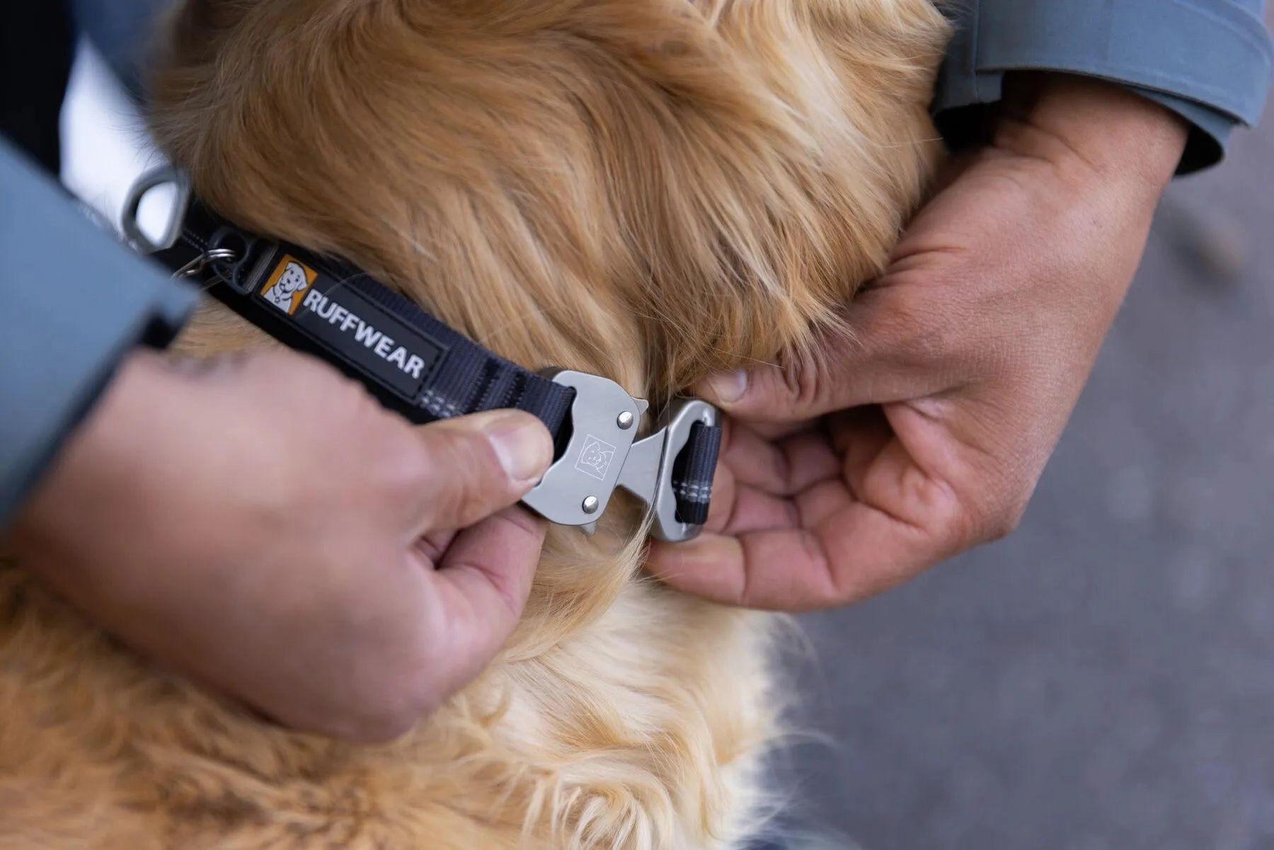 Ruffwear Top Rope? Reflective Ballasted Dog Collar (Blue Pool)