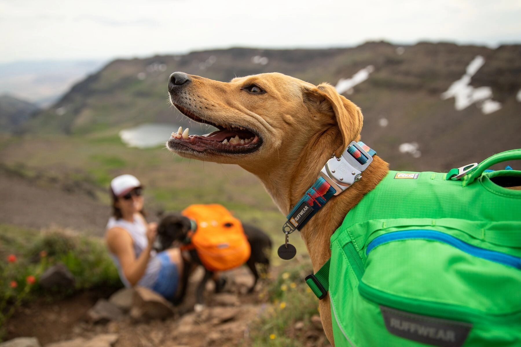 Ruffwear Top Rope? Reflective Ballasted Dog Collar (Sunset)