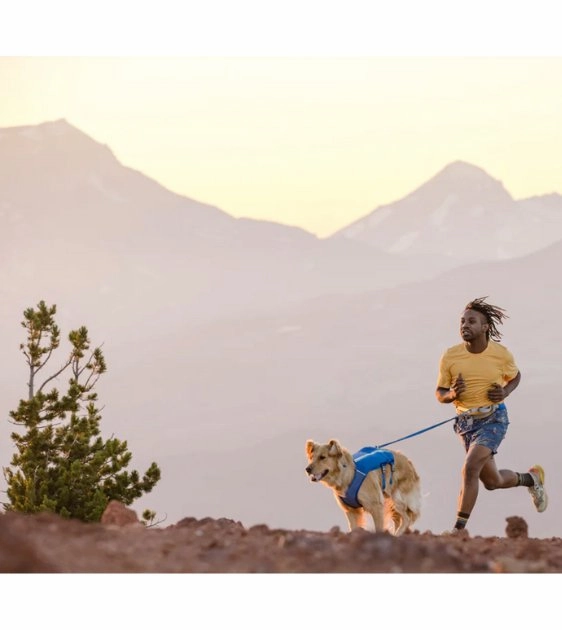 Ruffwear Trail Runner? Lightweight & Dynamic Stretch Dog Leash (Blue Pool)