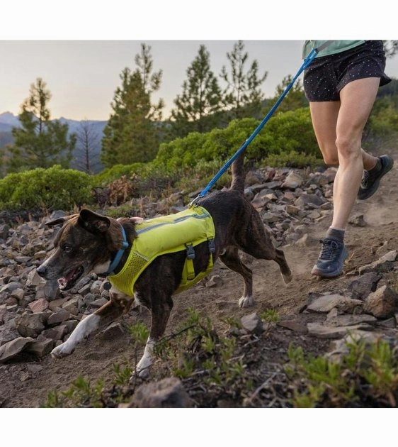 Ruffwear Trail Runner? Lightweight & Dynamic Stretch Dog Leash (Blue Pool)