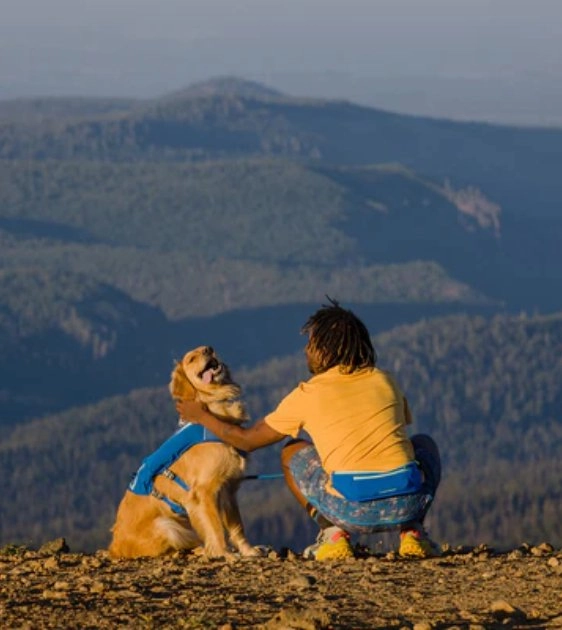 Ruffwear Trail Runner Running Belt (Blue Pool)
