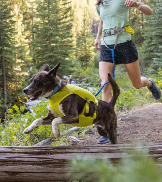 Ruffwear Trail Runner Running Belt (Blue Pool)