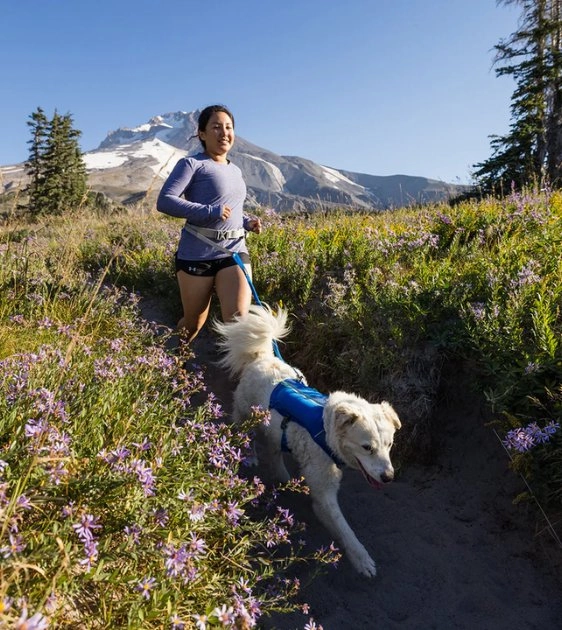 Ruffwear Trail Runner Running Belt (Blue Pool)