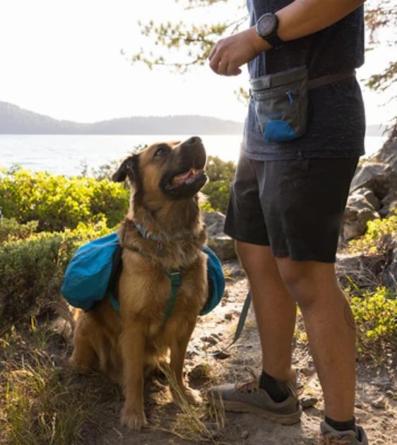 Ruffwear Treat Trader Dog Treat Pouch (Blue Pool)