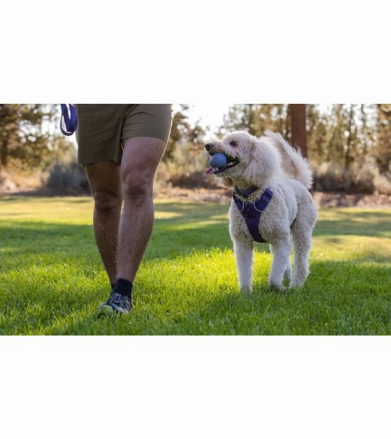 Ruffwear Turnup Interactive Rubber Throw Dog Toy (Sage Green)