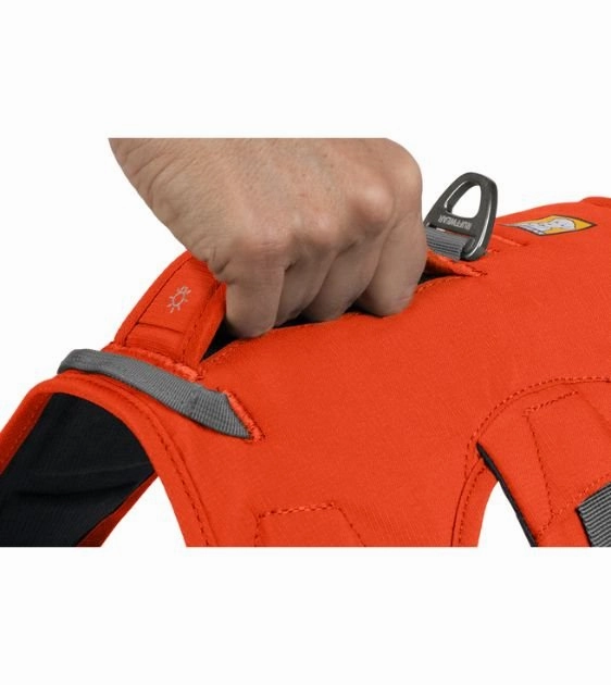 Ruffwear Web Master Dog Harness with Handle (Blaze Orange)