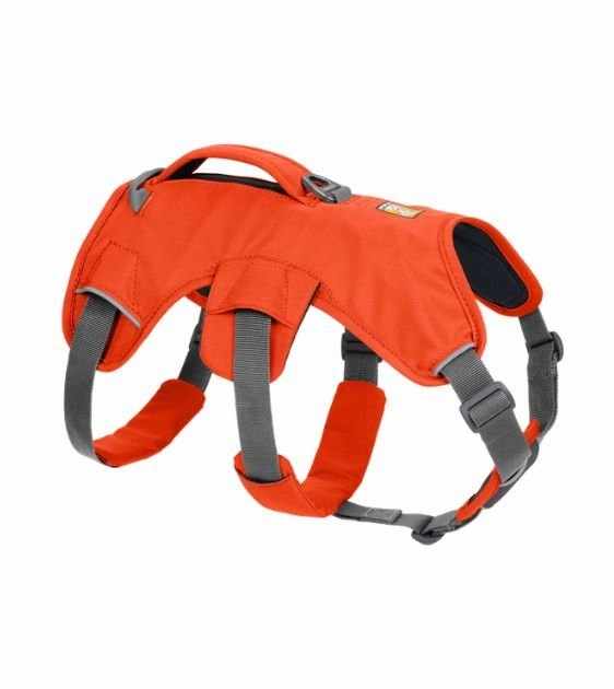 Ruffwear Web Master Dog Harness with Handle (Blaze Orange)