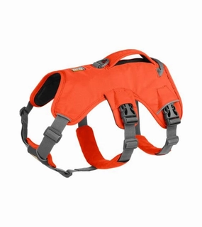 Ruffwear Web Master Dog Harness with Handle (Blaze Orange) dog nutrition,healthy dog food
