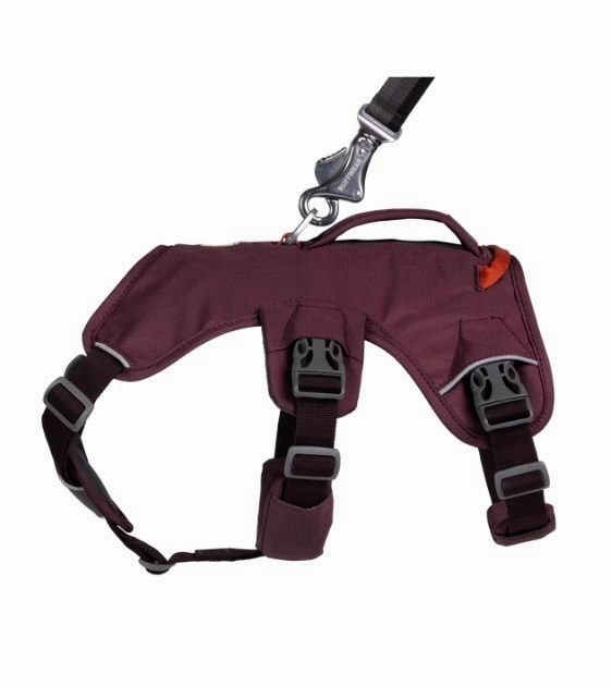 Ruffwear Web Master? Dog Harness with Handle (Purple Rain)