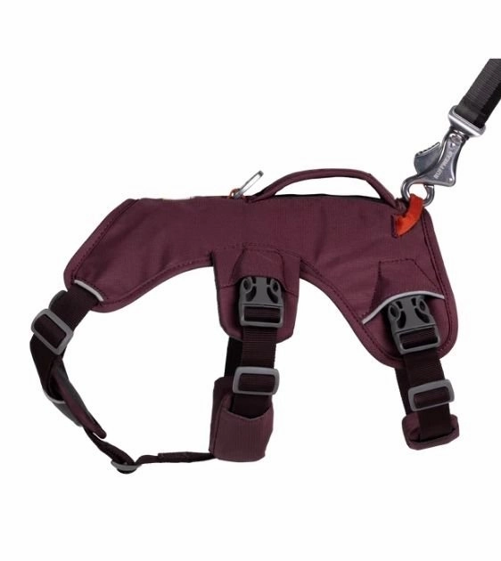 Ruffwear Web Master? Dog Harness with Handle (Purple Rain)