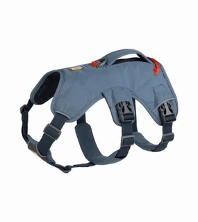 Ruffwear Web Master Dog Harness with Handle (Slate Blue) dog nutrition,healthy dog food