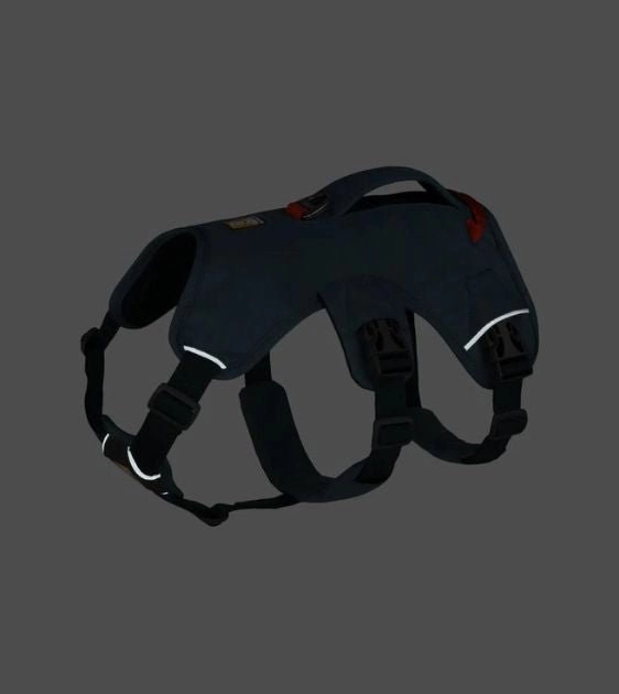 Ruffwear Web Master Dog Harness with Handle (Slate Blue)