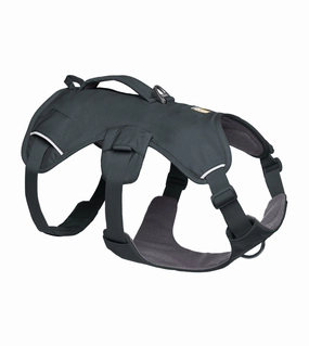 Ruffwear Web Master Dog Harness with Neck Buckle and Handle (Basalt Gray) dog nutrition,healthy dog food