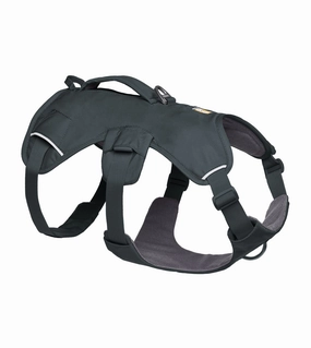 Ruffwear Web Master? Dog Harness with Neck Buckle and Handle (Basalt Gray) dog joint care,hip support