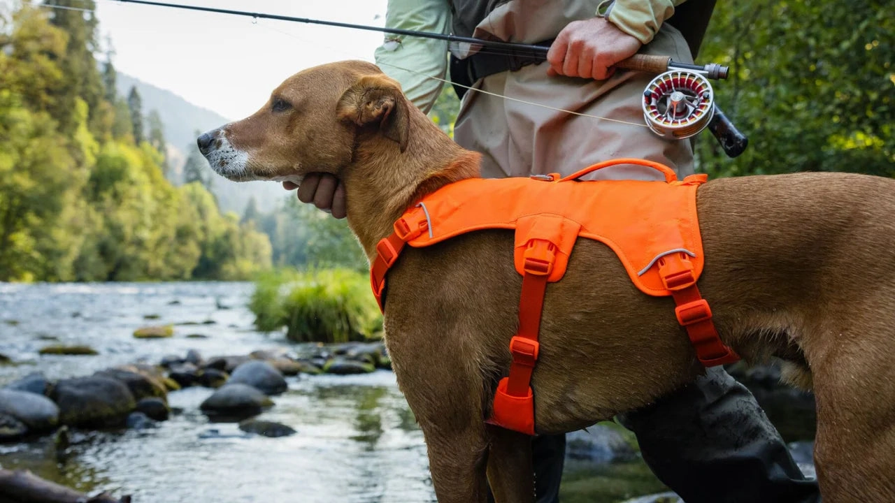Ruffwear Web Master Dog Harness with Neck Buckle and Handle (Basalt Gray)