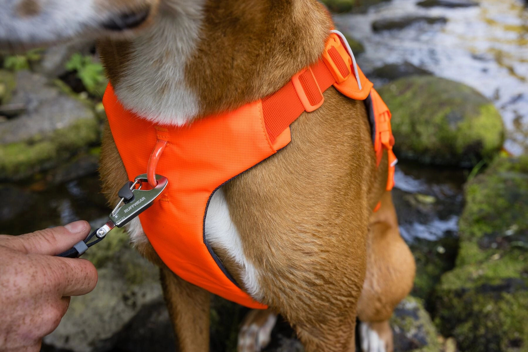 Ruffwear Web Master? Dog Harness with Neck Buckle and Handle (Blaze Orange)